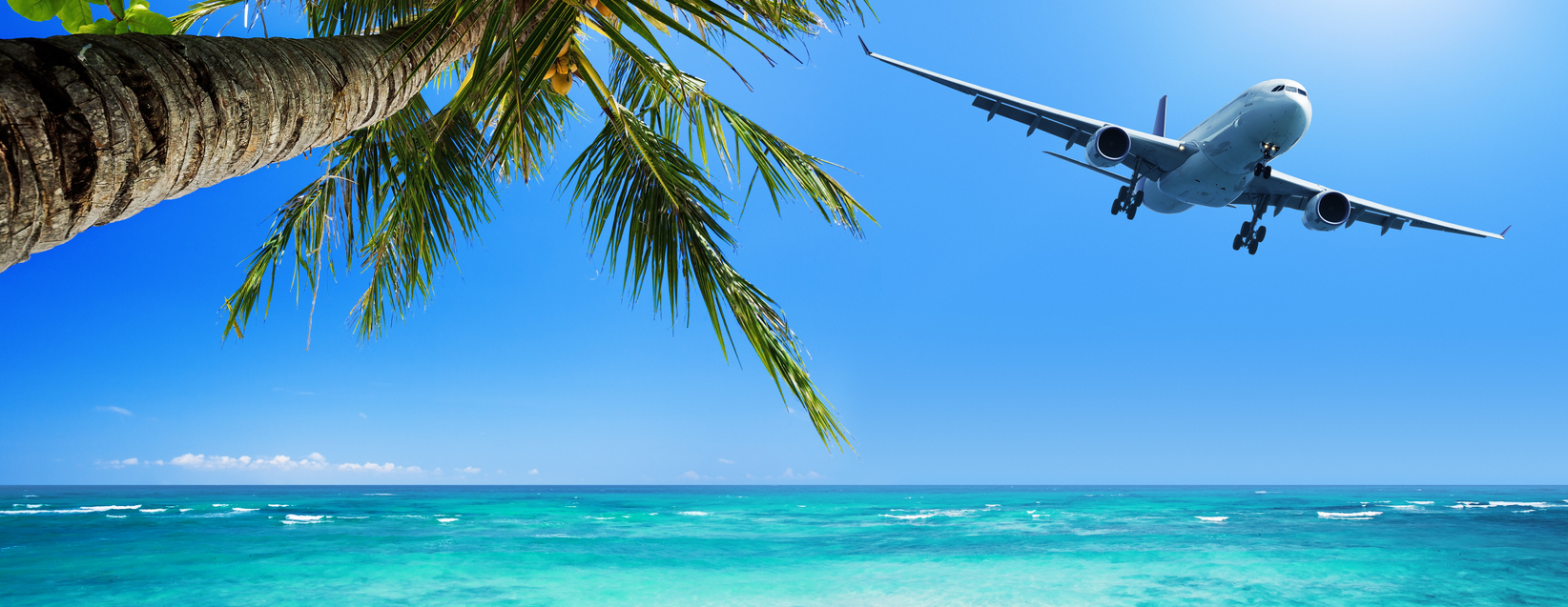 Beyond Tourism: Unlocking the COVID Cage